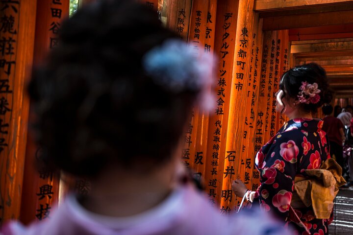 Private Full Day of Kyoto from Osaka/Kobe port (Shore excursion) - Image 4