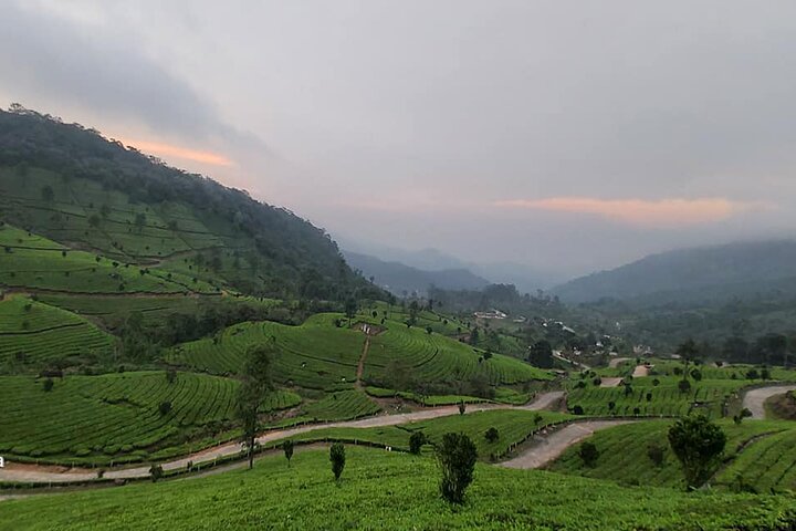 5 Days Kerala Tour Package - Private Tour with Exclusive Houseboat Stay - Image 3