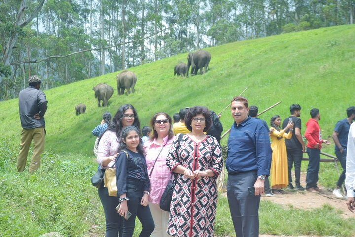 5-Days Private Kerala Tour with Sightseeing Tickets - Image 2