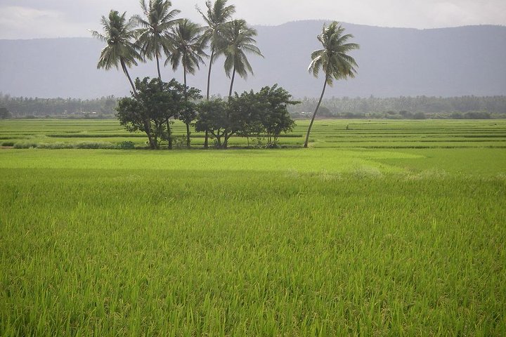 Adventurous Valparai trip from Kochi - 2 days trip  - Image 4