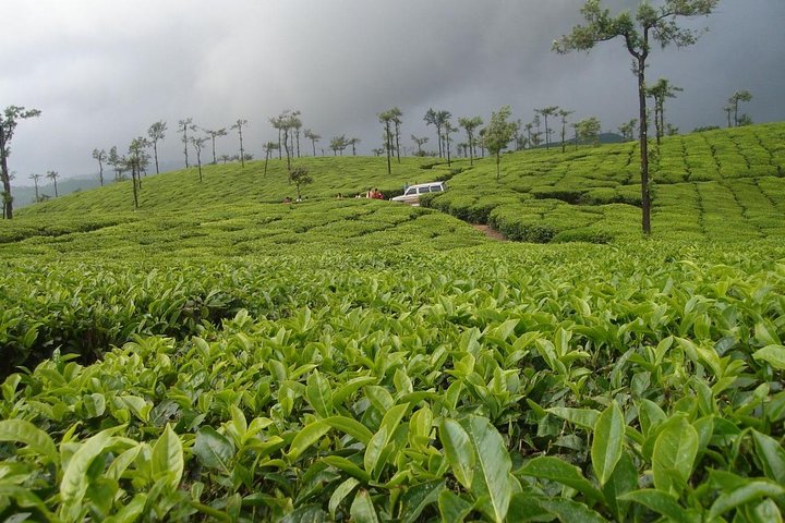 Adventurous Valparai trip from Kochi - 2 days trip  - Image 5