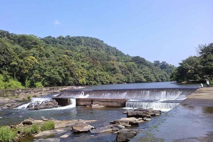 Athirappally & Vazhachal Waterfall Tour with Lunch - Image 5