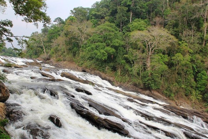 Athirappally & Vazhachal Waterfall Tour with Lunch - Image 1