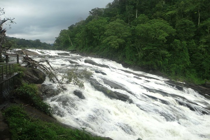 Athirappally & Vazhachal Waterfall Tour with Lunch - Image 4