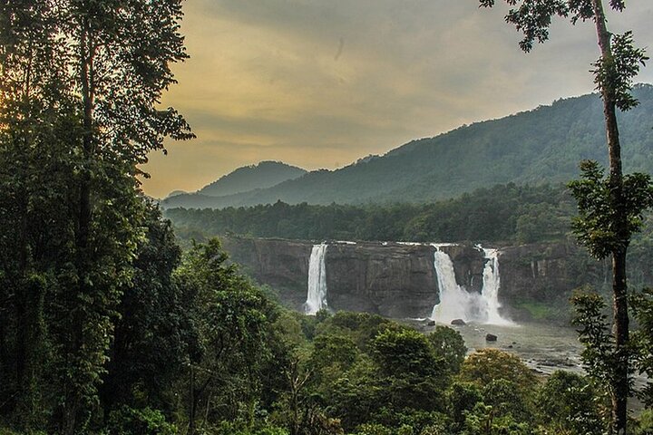 Athirappilly & Vazhachal Waterfalls Private Day Tour from Kochi - Image 5