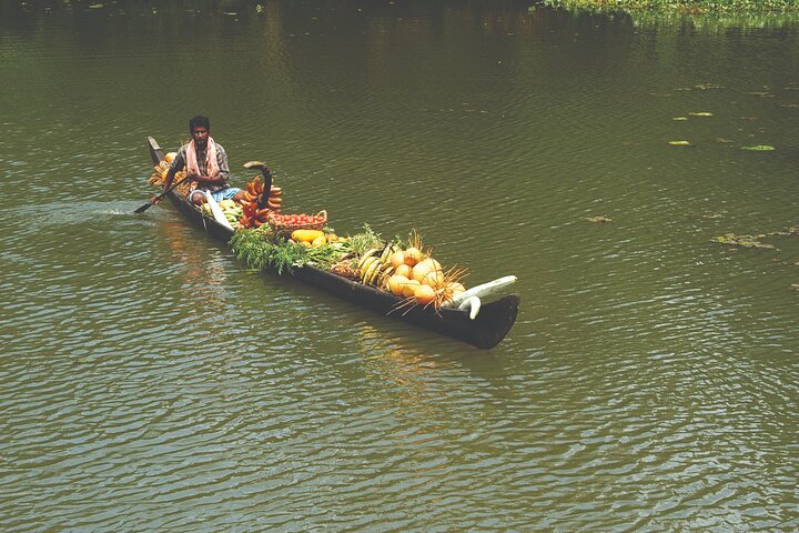 Backwaters Bliss: Cochin to Alleppey Escape - Image 2