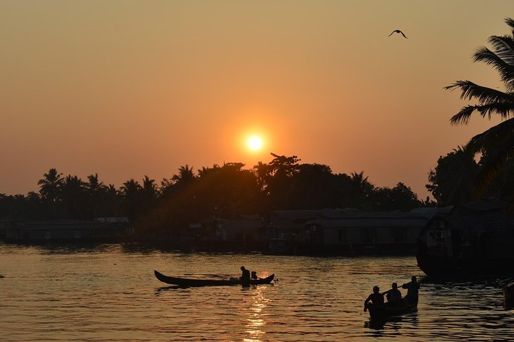 Backwaters Bliss: Cochin to Alleppey Escape - Image 3