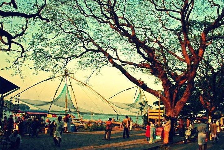 Cochin City or Backwater Shore Excursions from Cruise Terminal - Image 1