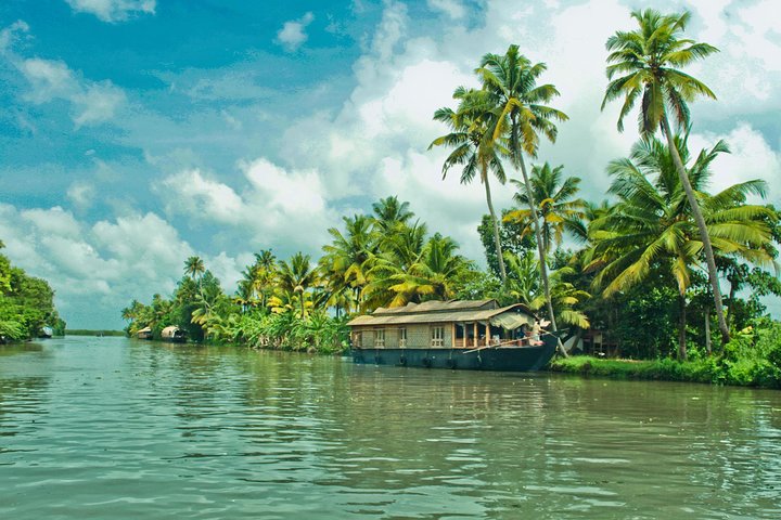 Cochin City or Backwater Shore Excursions from Cruise Terminal - Image 3