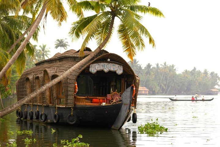 Cochin City or Backwater Shore Excursions from Cruise Terminal - Image 5
