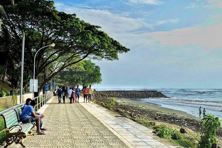 Cochin Heritage Tour  - Image 2