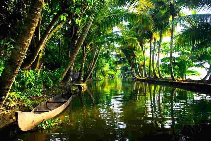 Cochin Heritage Tour With Alleppey Houseboat Cruise - Image 2
