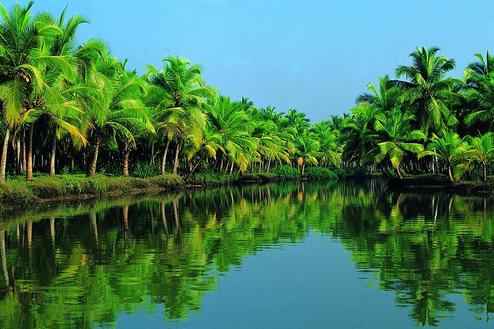 Cochin Shore Excursion: Backwater Houseboat Tour and Chinese Nets - Image 1
