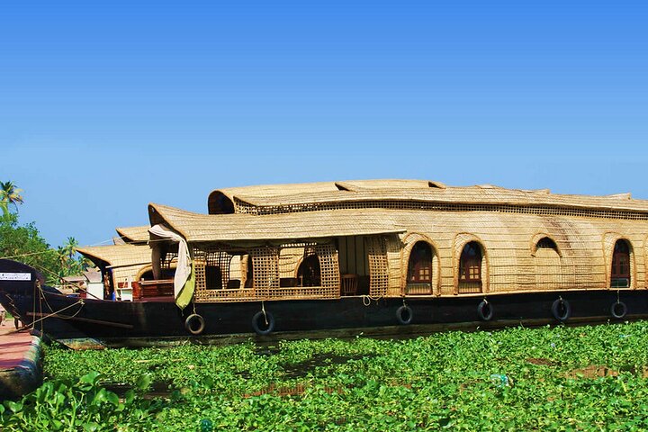 Cochin Shore Excursion: Backwater Houseboat Tour and Chinese Nets - Image 3