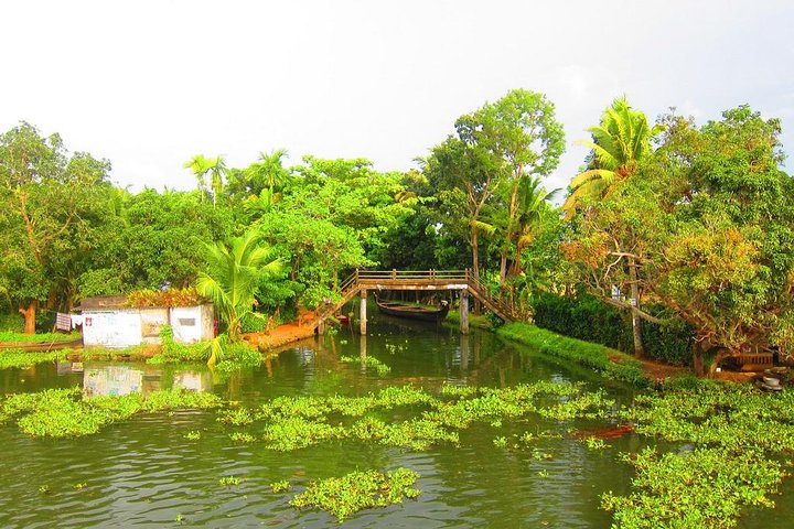 Cochin Shore Excursions from Cruise Terminal - Image 4