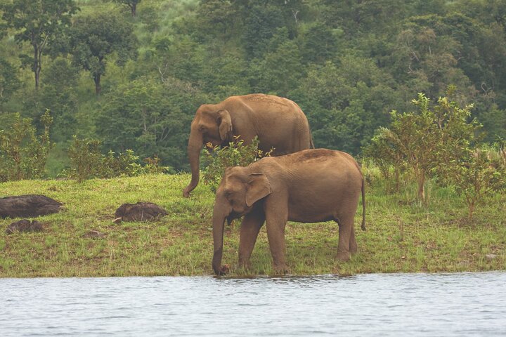 Cochin to Thekkady & Alleppey (4 Days) - Image 1