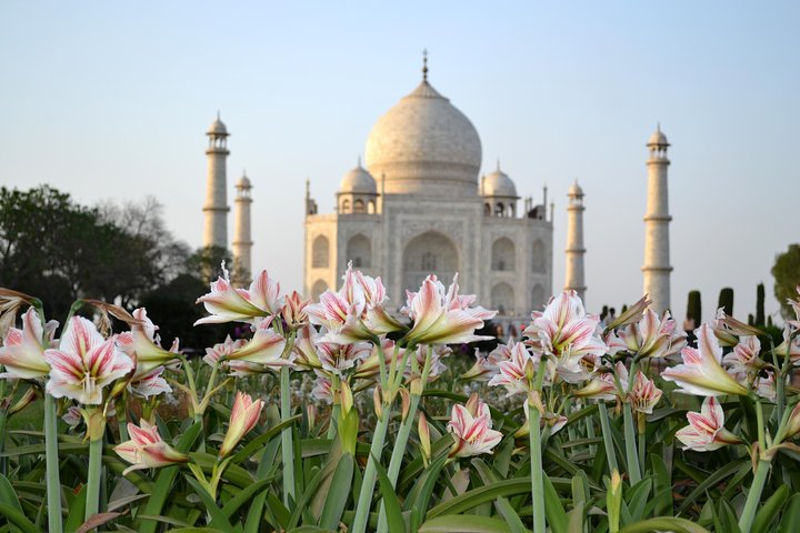 Day trip to Taj Mahal and Agra from Kochi with Return Flights - Image 3