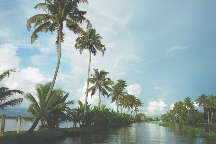 Excursion to Kerala Backwaters. - Image 1