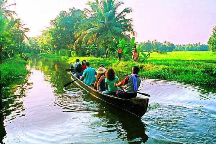 Excursion to Rice Farms of Kerala. - Image 1