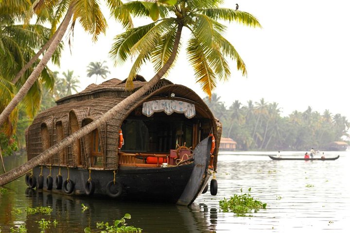 From Cochin Port: Backwater Cruise by Houseboat - Image 1
