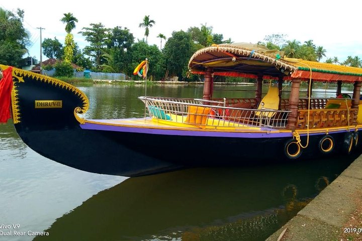 From Cochin Port: Backwaters by Shikara (Covered Canoe Boat) & Chinese Nets - Image 4