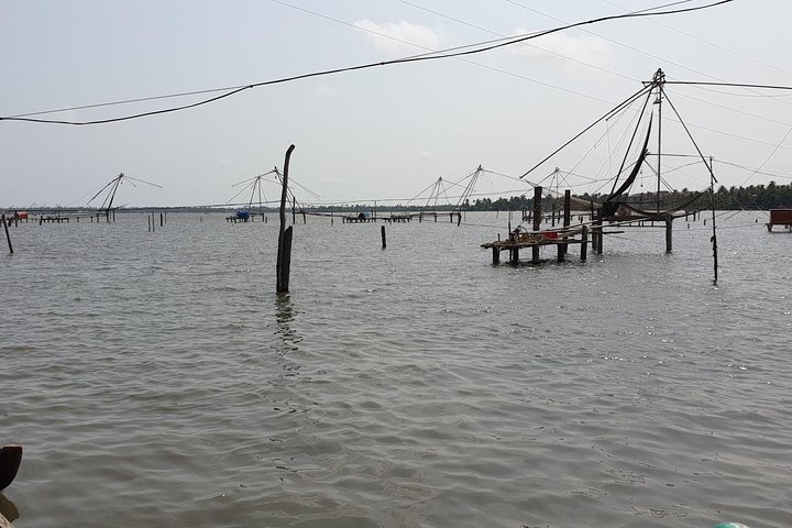 Full Day Kumbalangi Village Tour - Image 1