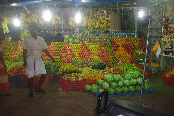 Group Tour of Quaint Kerala Including Lunch with a Family or Local Restaurant - Image 3