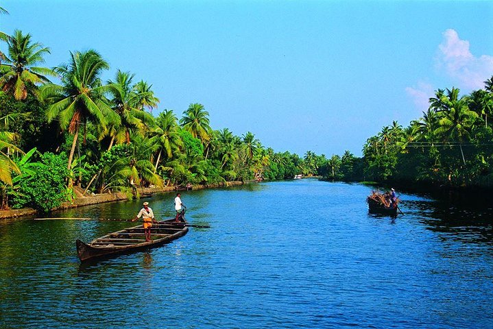 Kerala premium private tour for 7 nights 8 days with houseboat - Image 2