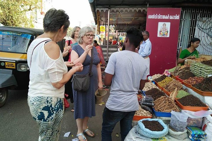 Kerala premium private tour for 7 nights 8 days with houseboat - Image 3