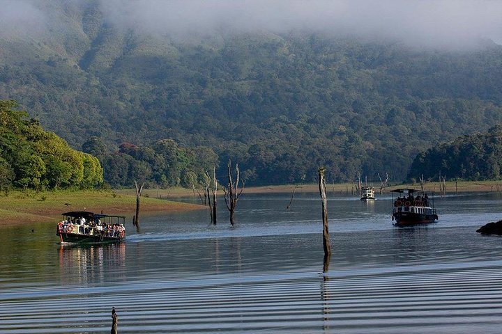 Kerala premium private tour for 7 nights 8 days with houseboat - Image 5