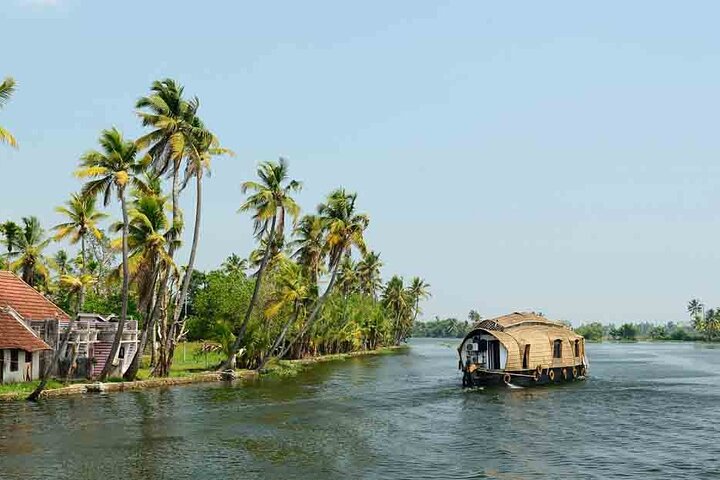 Kochi (Cochin) Shore Excursion from Cruise Terminal  - Image 5