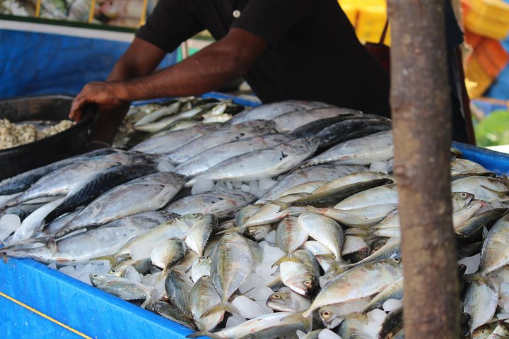 Kochi Fishing Village Excursions  - Image 2