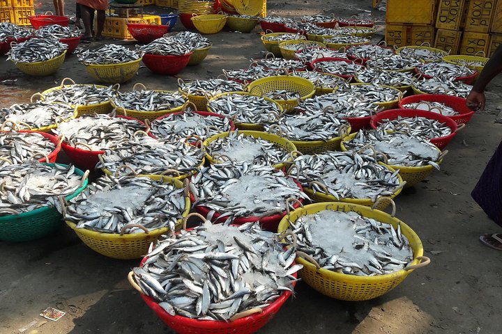 Kochi Fishing Village Excursions  - Image 4