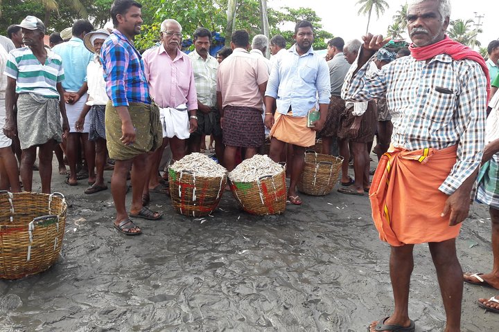 Kochi Half Day City Tour - Image 2