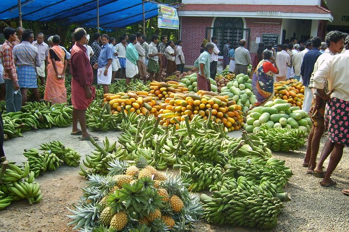 Kochi Overall  - Image 2