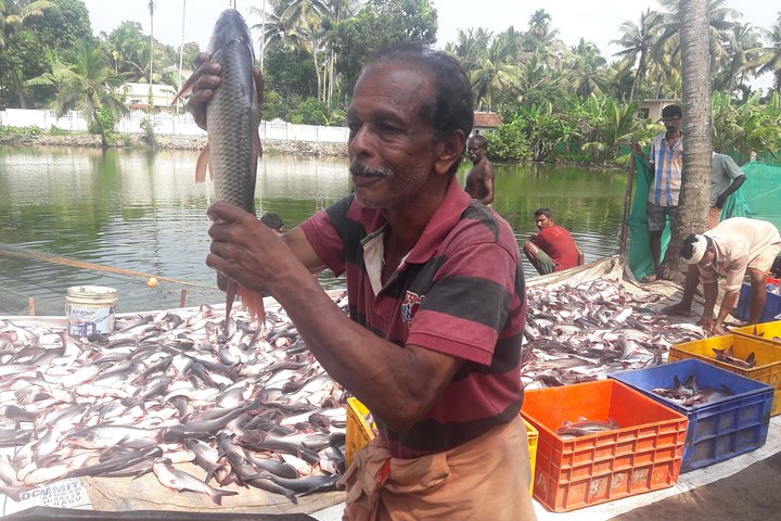 Kochi Overall  - Image 4