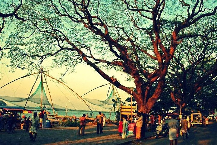 Kochi Shore Excursion: Cochin Harbor Cruise with Glimpse of Cochin Private Tour - Image 2