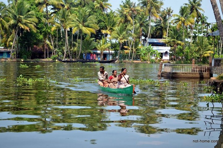 Kochi Shore Excursion: Private Kerala Backwater Houseboat Day Cruise - Image 4