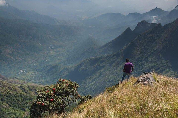 Kolukkumalai Trekking with Night stay in Tent - Image 5