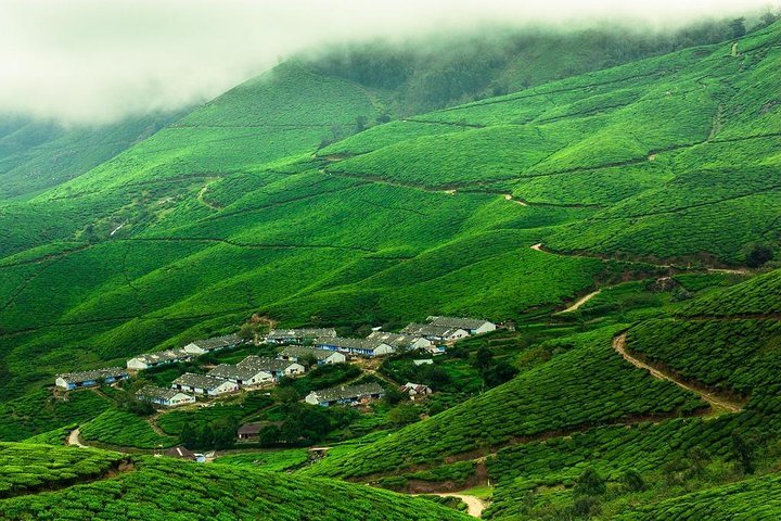 Kolukkumalai Trekking with Night stay in Tent - Image 2