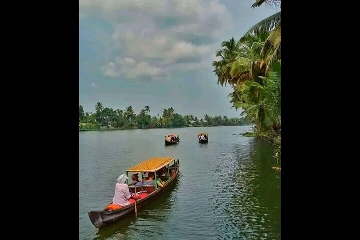 Kumarakom Backwater Excursion for group or single - Image 3