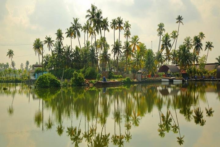 Kumbalangi Village Sightseeing Tour - Image 3