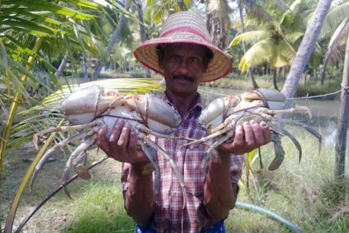 Kumbalangi Village Sightseeing Tour - Image 1