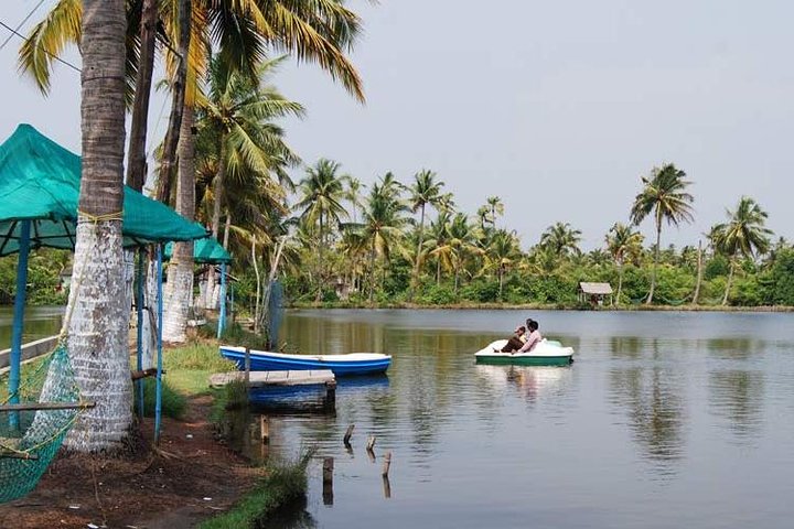Kumbalangi Village Sightseeing Tour - Image 2