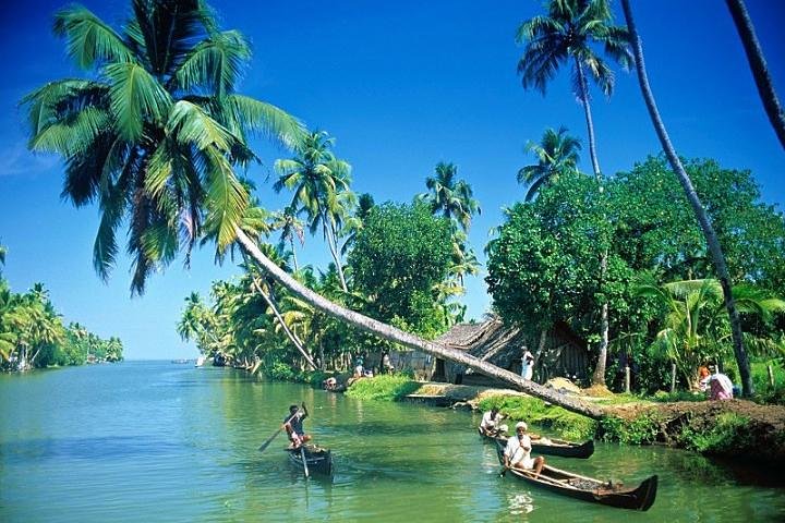 Kumbalangi Village Sightseeing Tour - Image 4