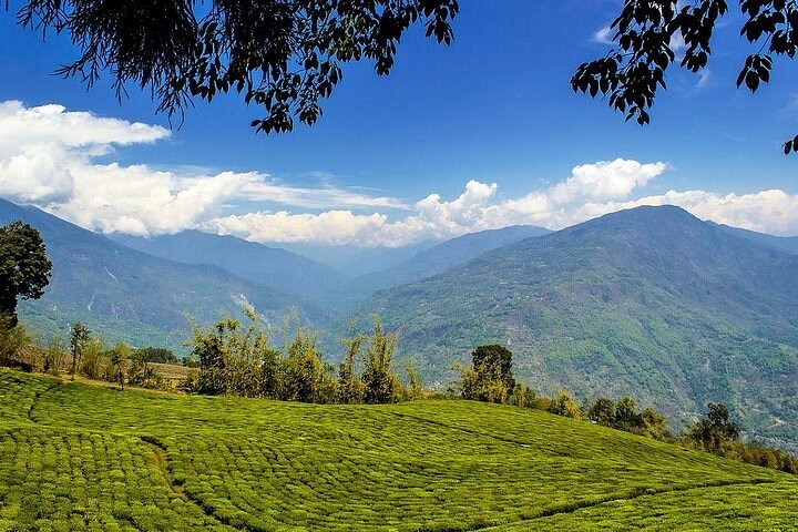 Lush Malabar Coast And Colorful Kerala - A 6 Day Private Tour - Image 3