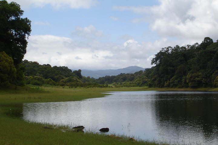 Lush Malabar Coast And Colorful Kerala - A 6 Day Private Tour - Image 4
