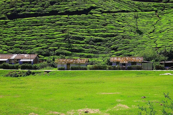 Lush Malabar Coast And Colorful Kerala - A 6 Day Private Tour - Image 5