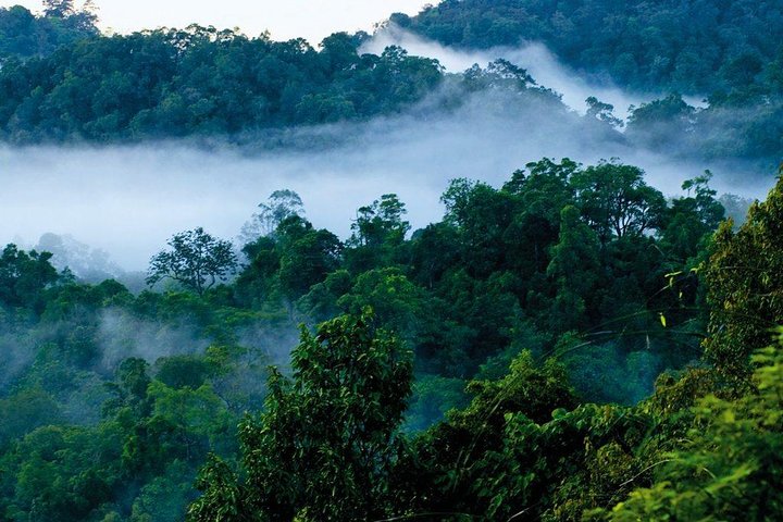 Malampuzha and Nelliyampahy tour from Kochi with a night stay  - Image 3