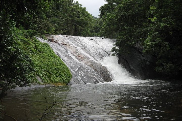 Malampuzha and Nelliyampahy tour from Kochi with a night stay  - Image 5